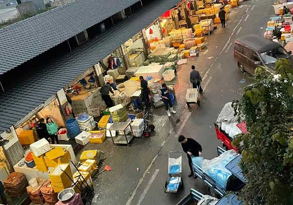 2026来重庆考察火锅市场全攻略